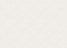 Обои шириной 70 см и длиной 10,05 метров Zambaiti Trussardi VIII Z30344