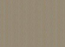 Обои полоска в прихожей Zambaiti Architexture 2 Z57710
