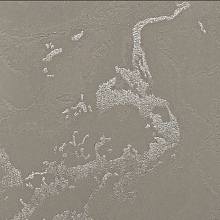 Метровые обои Bernardo Bartalucci Gaga  84282-9