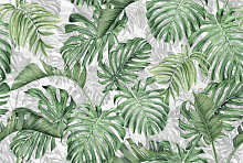 Wall street SELVA Selva 2