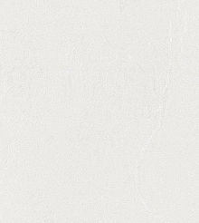 Серые обои в зал Bernardo Bartalucci Gaga  84284-7