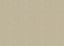 Однотонные бежевые обои (фон) Marburg Terra 0,53 см 34622
